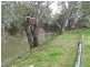 3353 Wambianna Rd, Warren NSW 2824