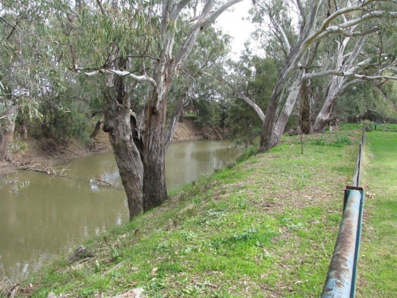 3353 Wambianna Rd, Warren NSW 2824