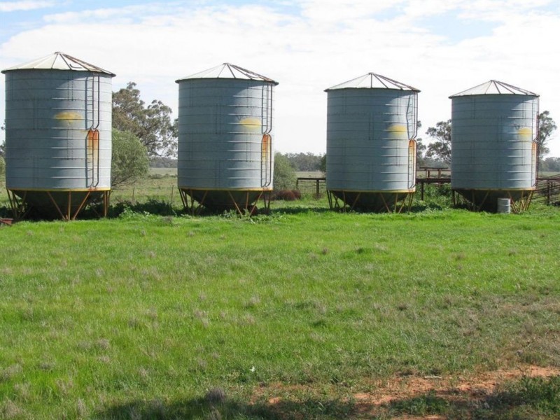 . Oxley Highway, Braeview, Warren NSW 2824