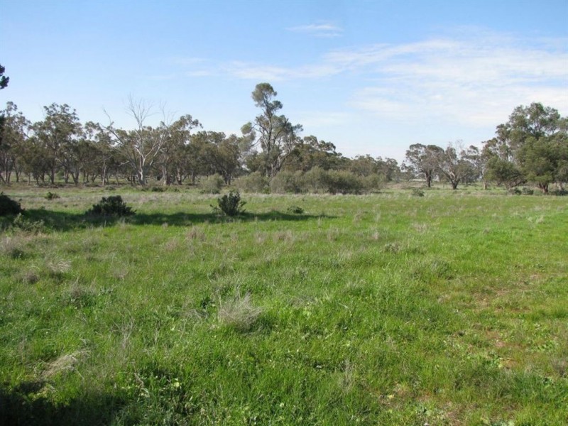 . Oxley Highway, Braeview, Warren NSW 2824