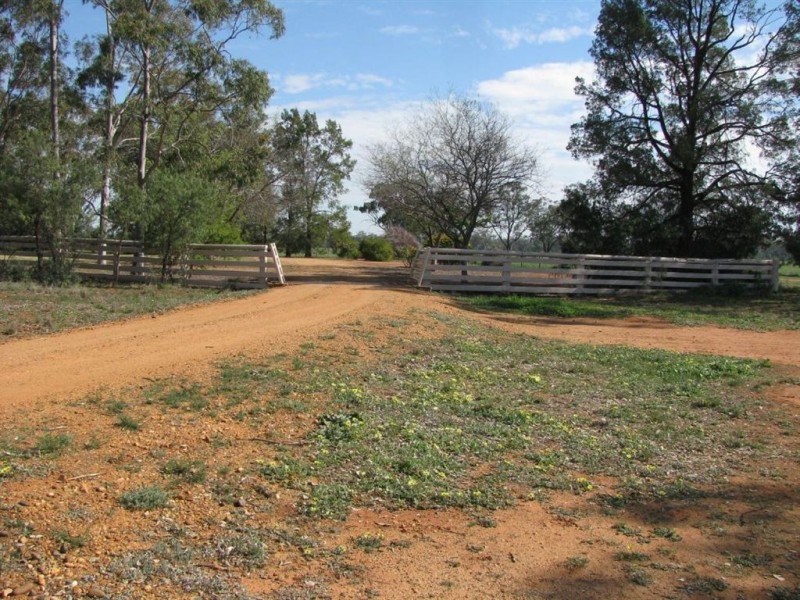 . Oxley Highway, Braeview, Warren NSW 2824