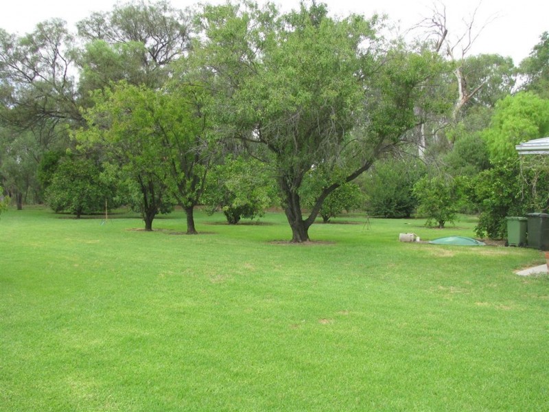 . Ellengerah Rd, Warren NSW 2824