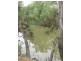 . Ellengerah Rd, Warren NSW 2824
