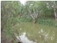 . Ellengerah Rd, Warren NSW 2824