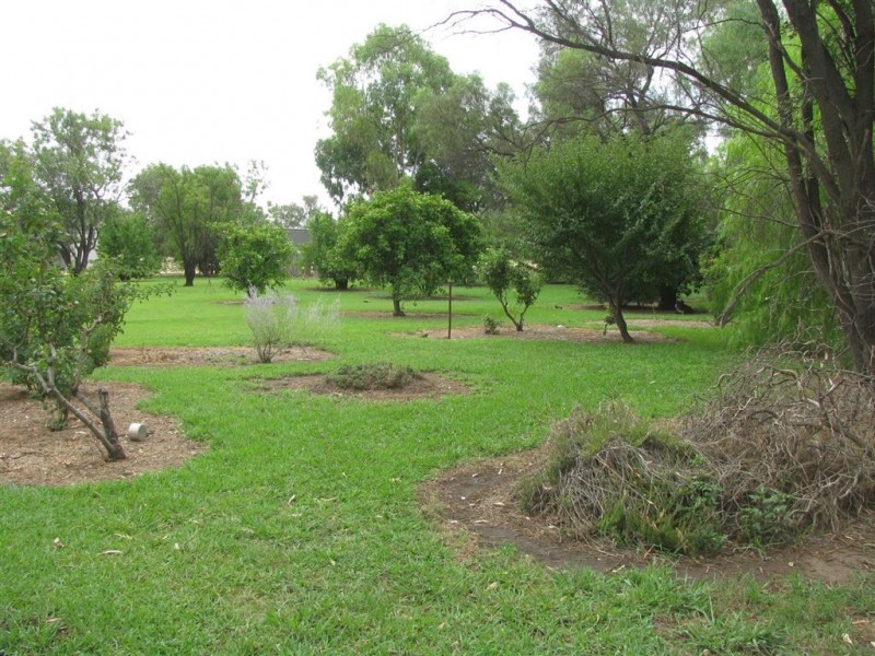 . Ellengerah Rd, Warren NSW 2824