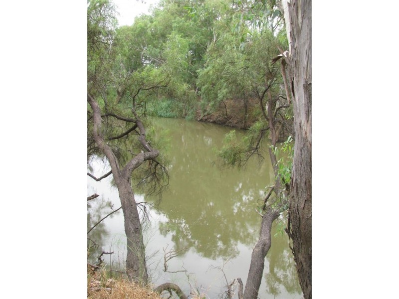 . Ellengerah Rd, Warren NSW 2824