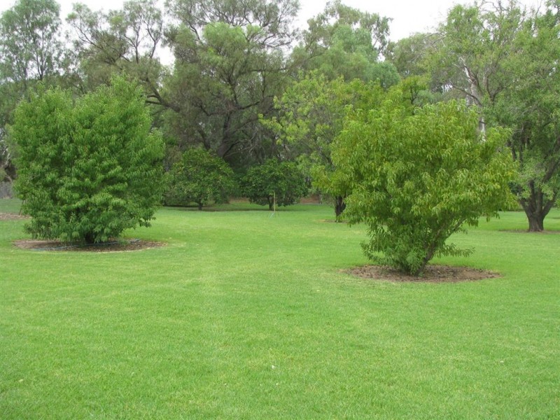 . Ellengerah Rd, Warren NSW 2824