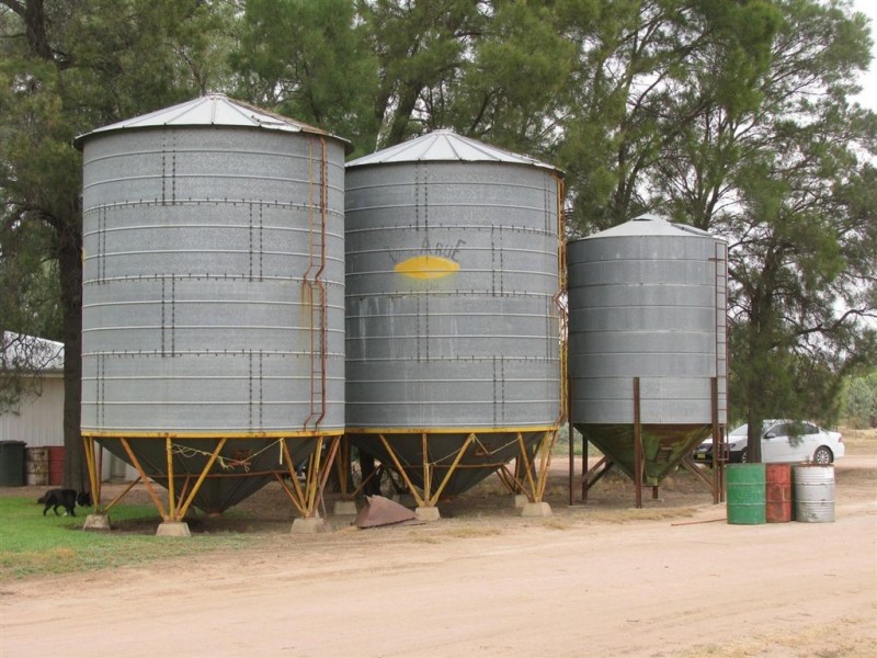 . Ellengerah Rd, Warren NSW 2824