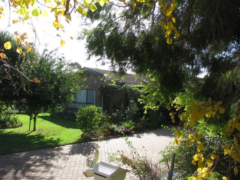 32 Garden Ave, Warren NSW 2824