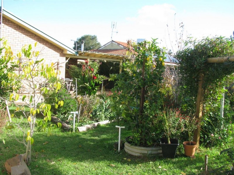 32 Garden Ave, Warren NSW 2824