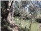 . Gunningbar, Warren NSW 2824