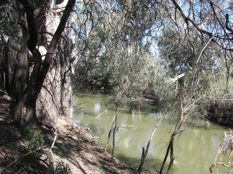 . Gunningbar, Warren NSW 2824