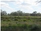Warren NSW 2824