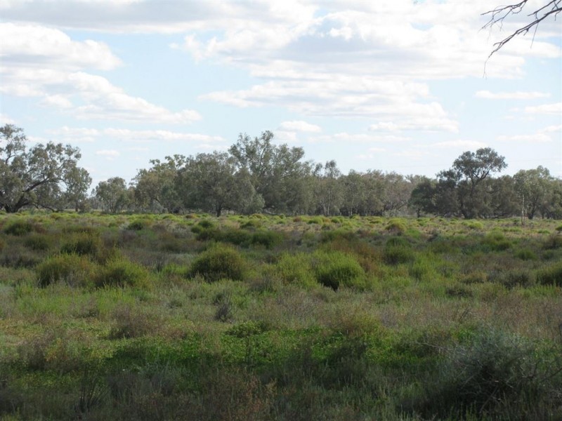 Warren NSW 2824