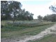 Warren NSW 2824