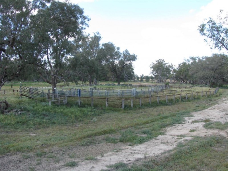 Warren NSW 2824