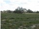 Warren NSW 2824