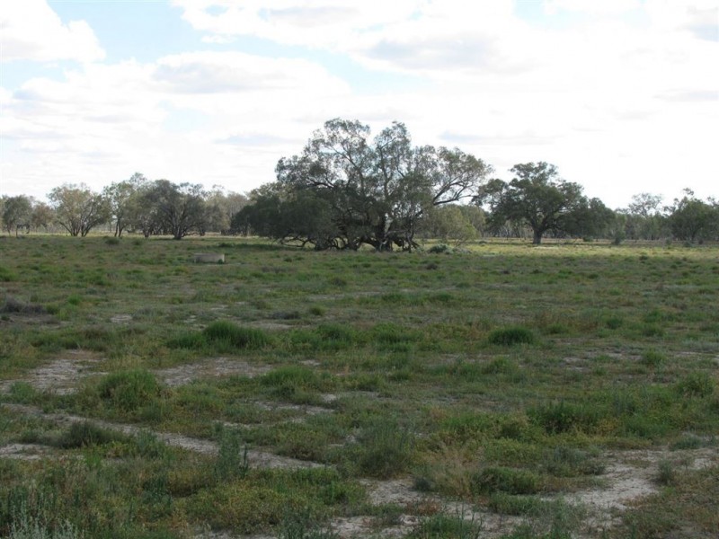 Warren NSW 2824