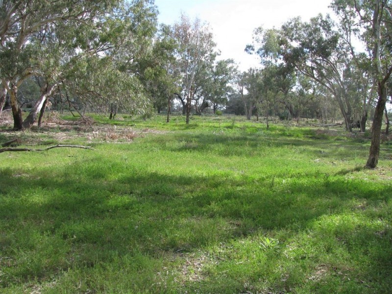 Warren NSW 2824