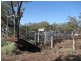 Warren NSW 2824