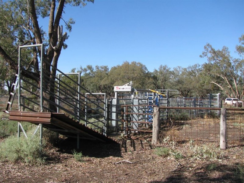 Warren NSW 2824