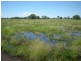 Warren NSW 2824