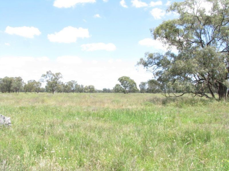 . Burradene, Nevertire NSW 2831