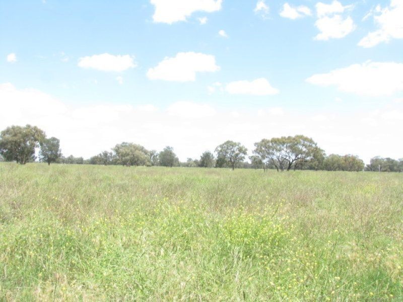 . Burradene, Nevertire NSW 2831