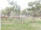 . Burradene, Nevertire NSW 2831