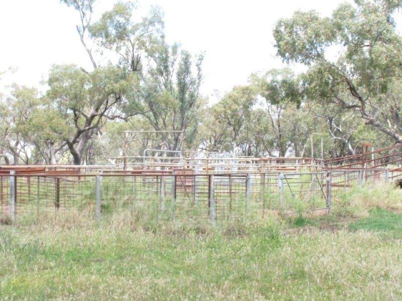 . Burradene, Nevertire NSW 2831