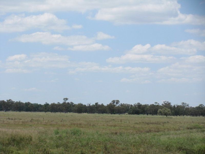 . Burradene, Nevertire NSW 2831