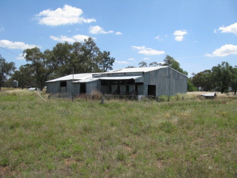 . Burradene, Nevertire NSW 2831
