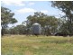 . Burradene, Nevertire NSW 2831