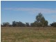 . ., Warren NSW 2824