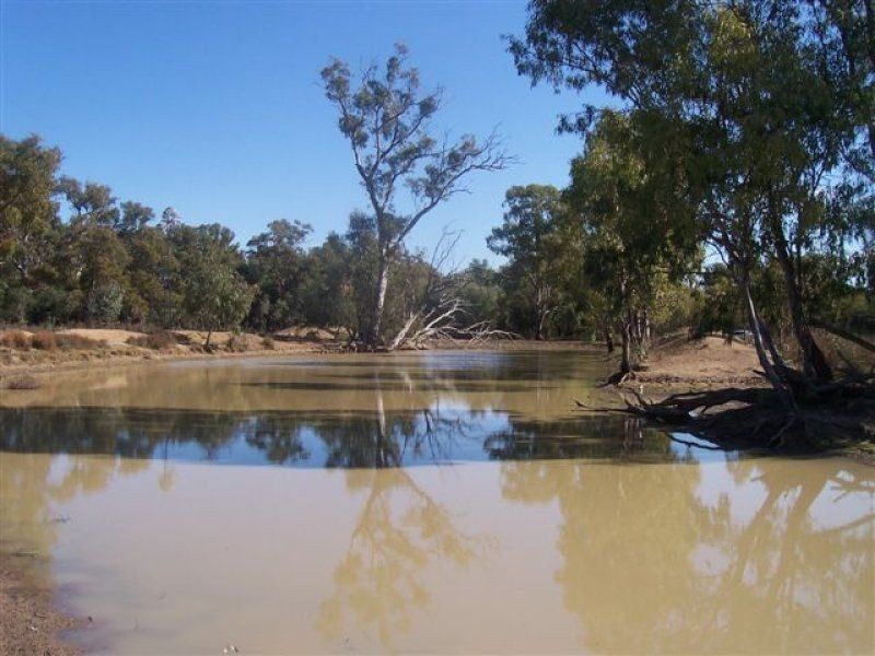 . ., Warren NSW 2824