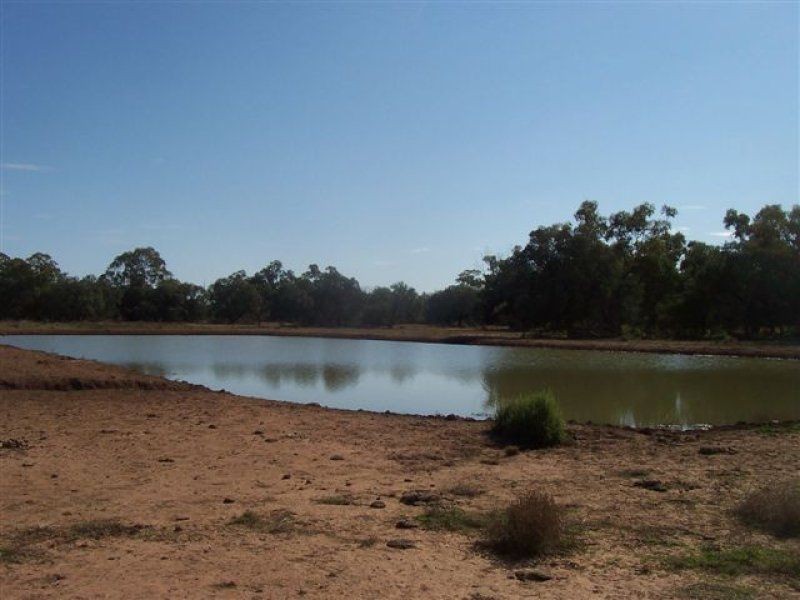 . ., Warren NSW 2824