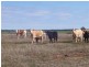 . ., Warren NSW 2824
