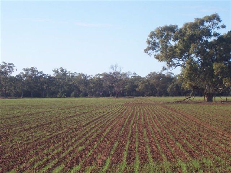 . ., Warren NSW 2824