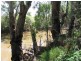 128 Wambianna Rd, Warren NSW 2824