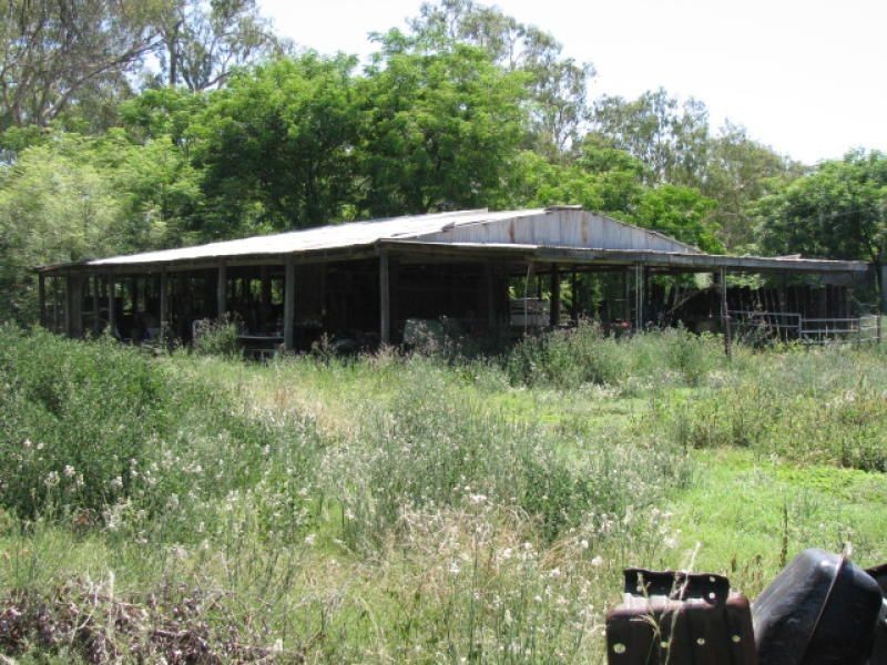 128 Wambianna Rd, Warren NSW 2824