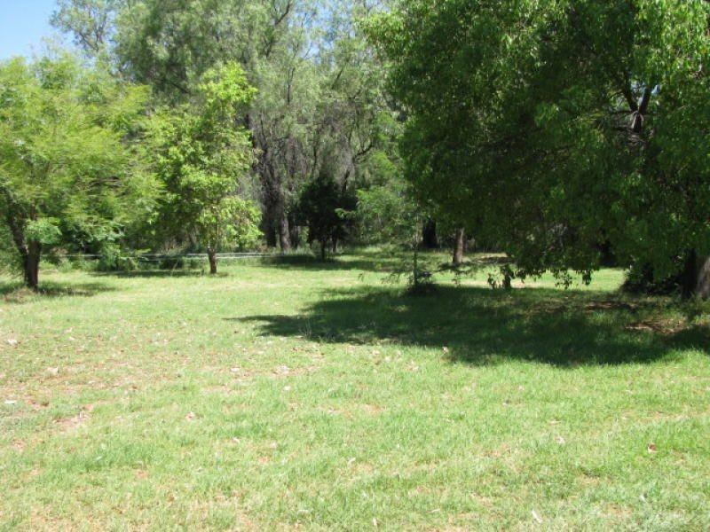 128 Wambianna Rd, Warren NSW 2824