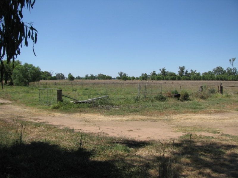 128 Wambianna Rd, Warren NSW 2824
