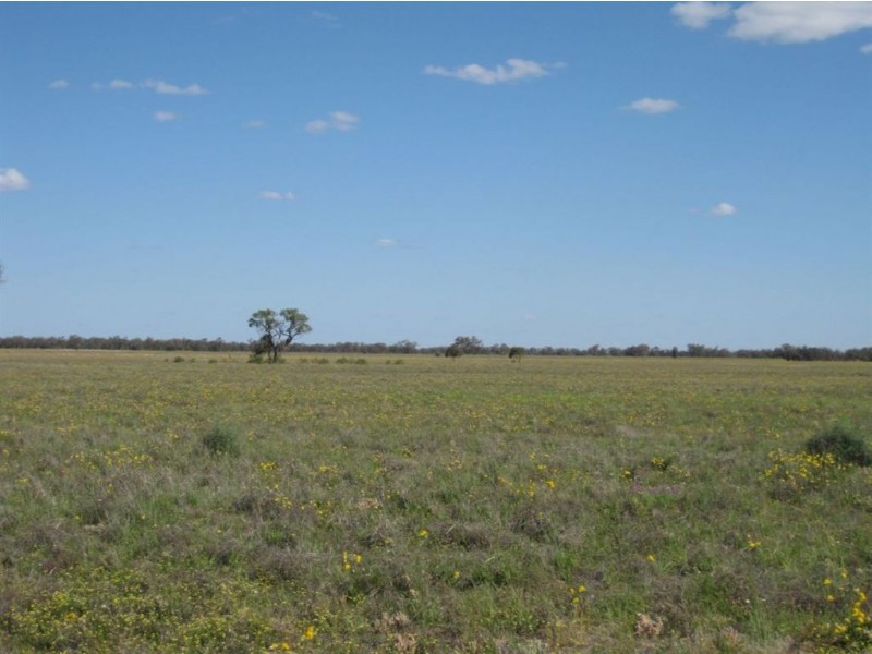 . Annalara, Cobar NSW 2835