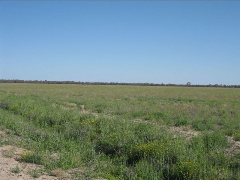 . Annalara, Cobar NSW 2835