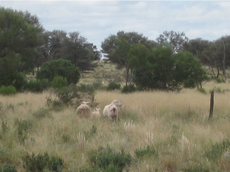 . Annalara, Cobar NSW 2835