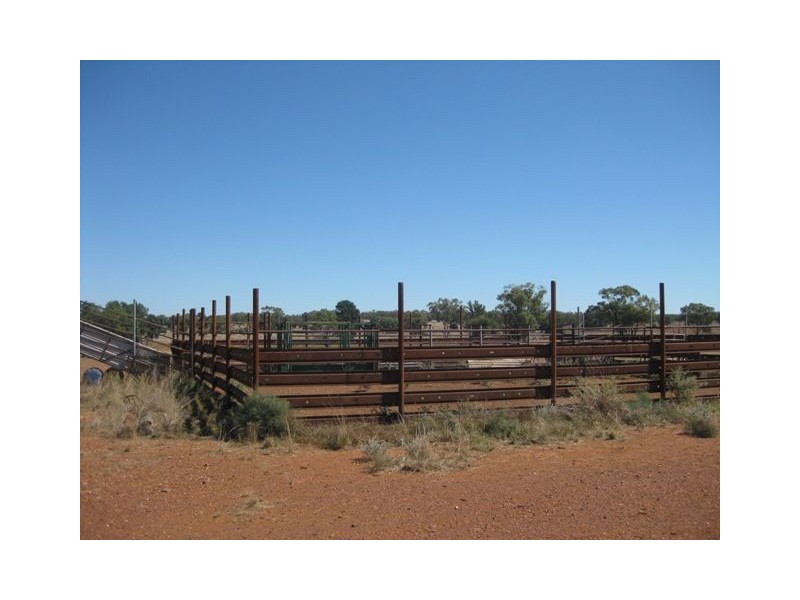 . Hill Plain, Cobar NSW 2835