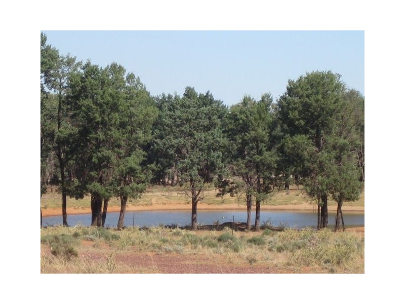 . Hill Plain, Cobar NSW 2835