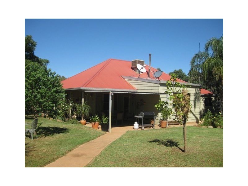 . Hill Plain, Cobar NSW 2835