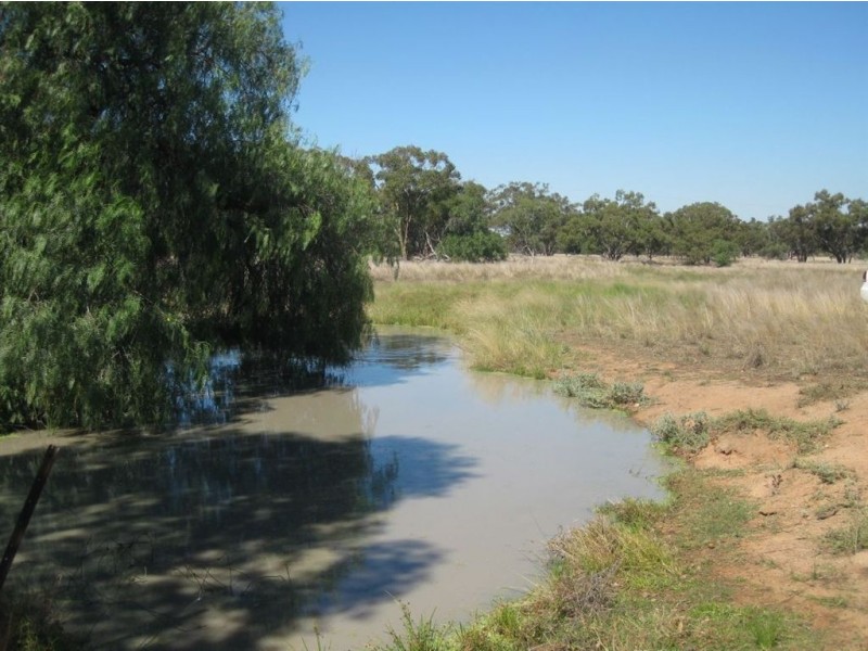 . Hill Plain, Cobar NSW 2835