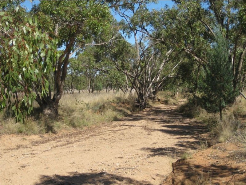 . Hill Plain, Cobar NSW 2835